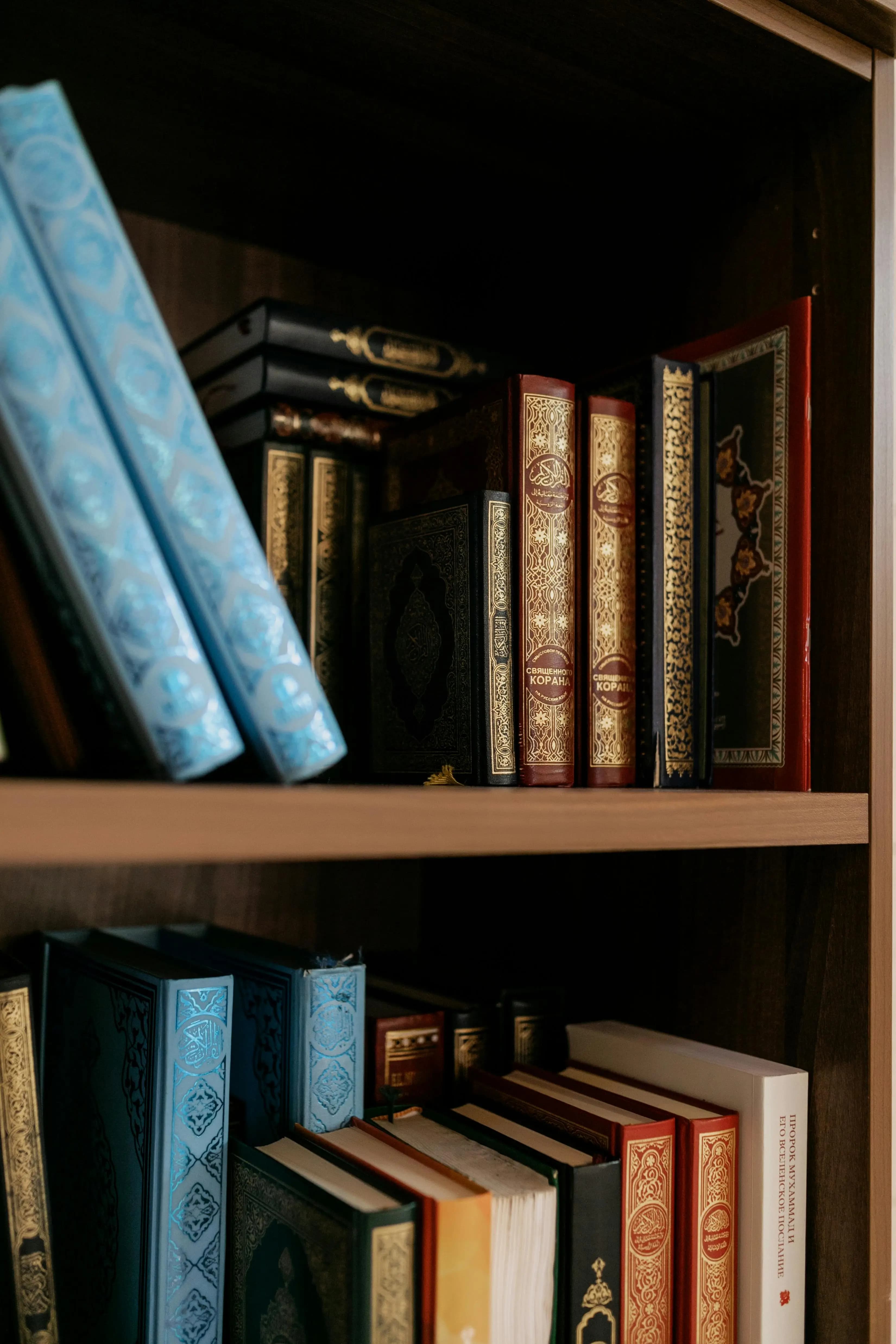 المستوى الثالث التخصصى